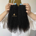 Tape in Extensions Afro Kinky Curly Wholesale Price 100% Human Virgin Hair