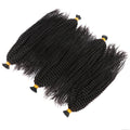 Virgin Afro Kinky Curly I-Tip Hair Extensions Wholesale Price